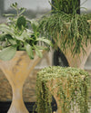 kaolin concrete planter