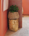 shale petrified-wood stool