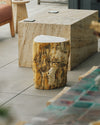 shale petrified-wood stool