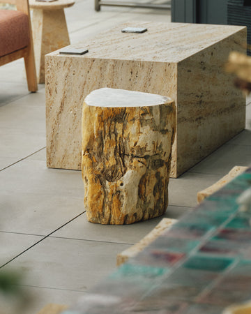 shale petrified-wood stool