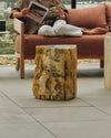 shale petrified-wood stool