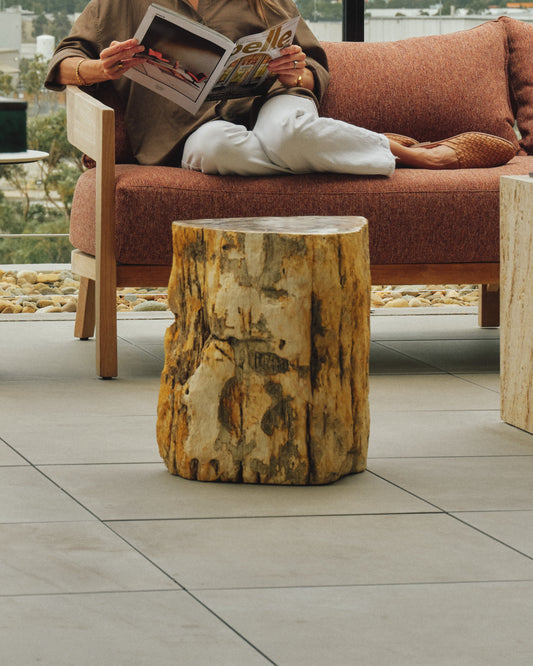 shale petrified-wood stool