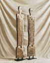figure panel