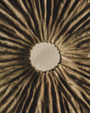 sunburst panel