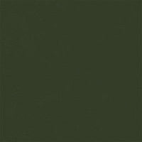 stainless steel olive green